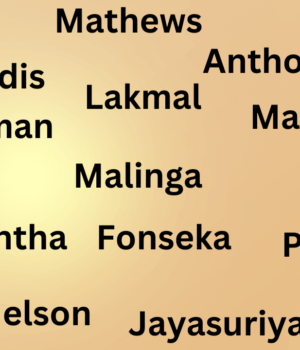 Sri Lankan surnames