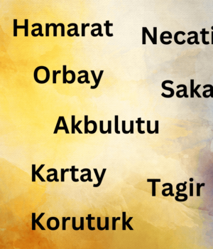 Turkish surnames